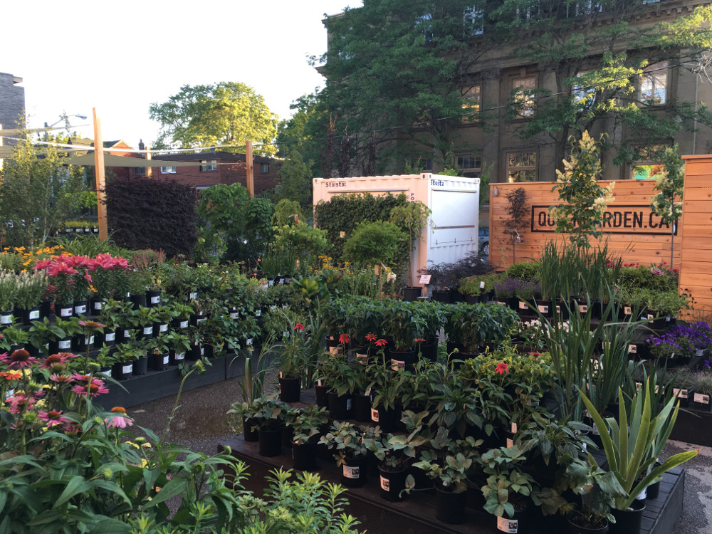 View of the Flower Shop