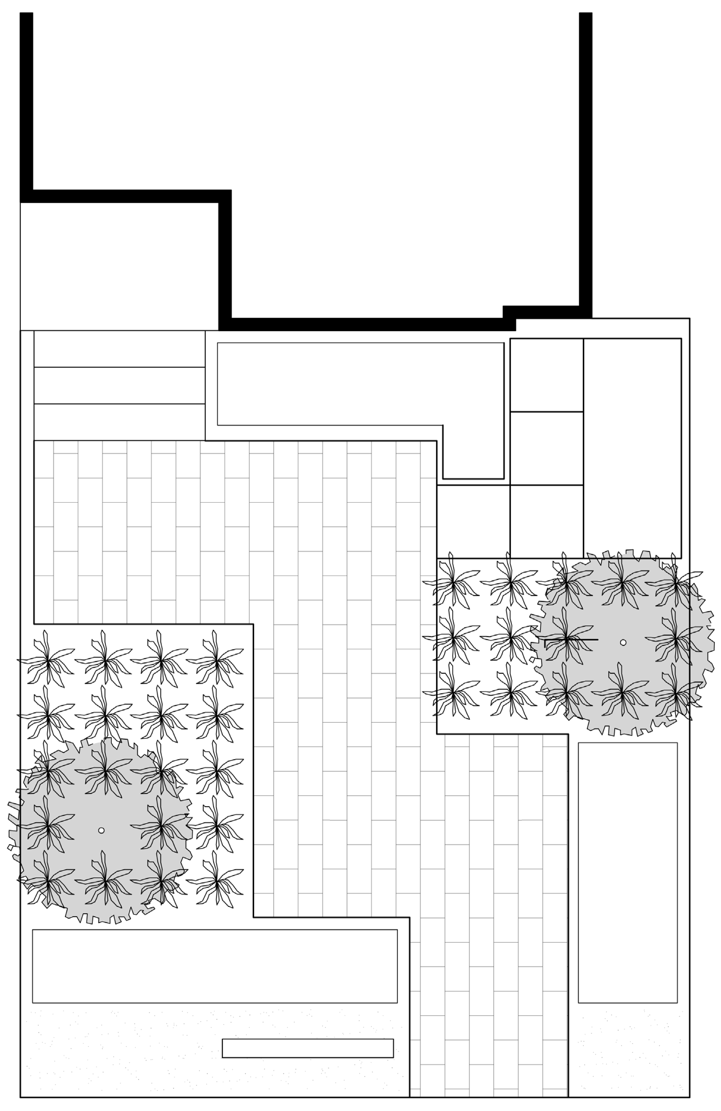 Garden plan